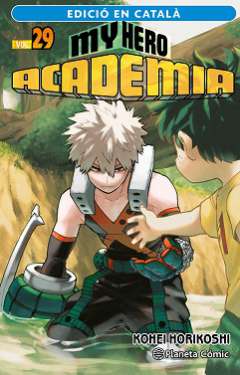My Hero Academia, 29