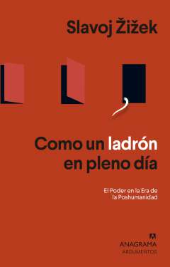 Un ladrón en pleno día
