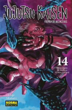 Jujutsu kaisen, guerra de hechiceros, 14