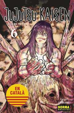 Jujutsu kaisen, la guerra màgica, 6