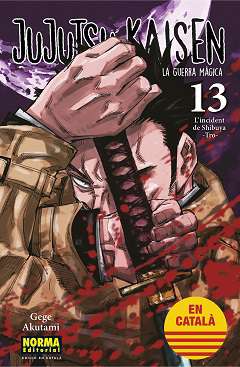 Jujutsu kaisen, la guerra màgica, 13