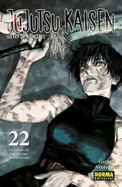 Jujutsu kaisen, guerra de hechiceros, 22