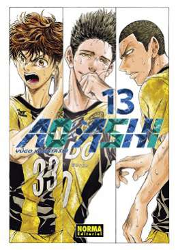Ao Ashi, 13