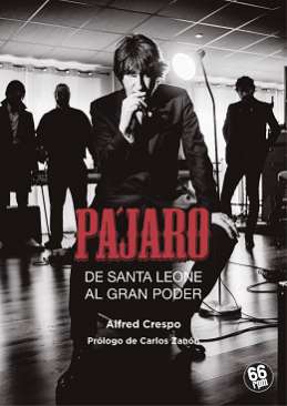 Pájaro