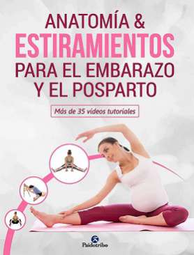 Anatomía & estiramientos para el embarazo y el posparto