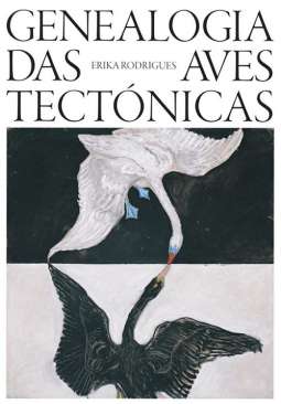 Genealogia das aves tect�nicas