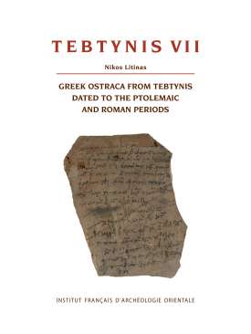 Tebtynis VII