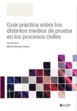 Gu�a pr�ctica sobre los distintos medios de prueba en los procesos civiles
