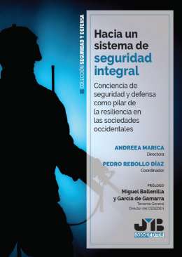 Hacia un sistema de seguridad integral