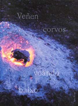 Ve�en corvos voando baixo