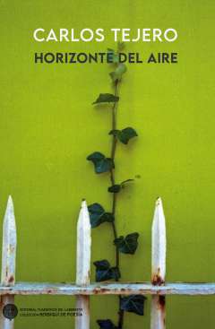 Horizonte del aire