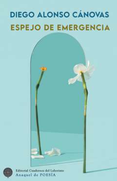 Espejo de emergencia