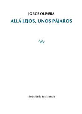 All� lejos, unos p�jaros
