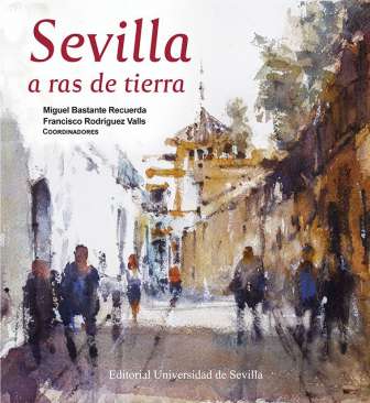 Sevilla a ras de tierra