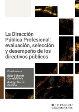 La Direcci�n P�blica Profesional