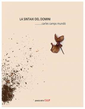 La sintaxi del domini