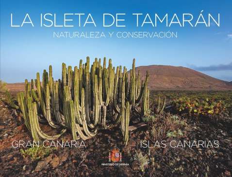 La isleta de Tamar�n