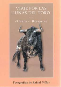 Viaje por las lunas del toro