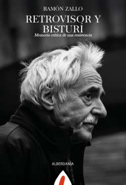 Retrovisor y bistur�