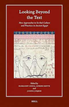 Looking beyond the Text