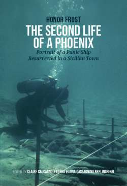 The Second Life of a Phoenix