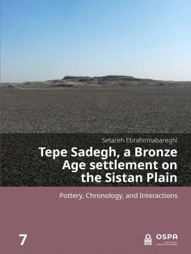 Tepe Sadegh, a Bronze Age settlement on the Sistan Plain