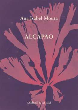 Al�ap�o