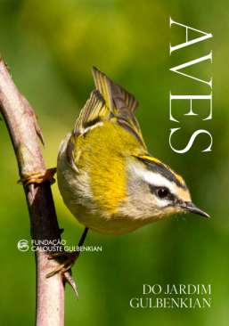 Aves do Jardim Gulbenkian