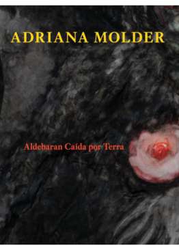 Aldebaran ca�da por terra