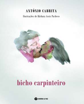 Bicho carpinteiro