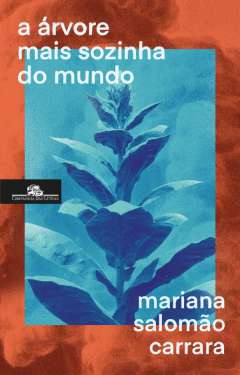 A �rvore mais sozinha do mundo