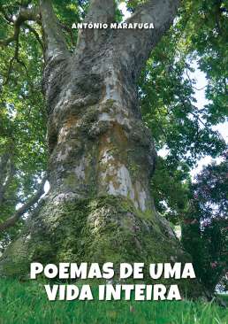 Poemas de uma vida inteira