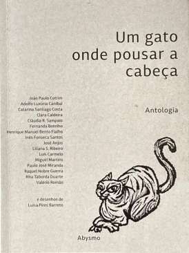 Um gato onde pousar a cabe�a