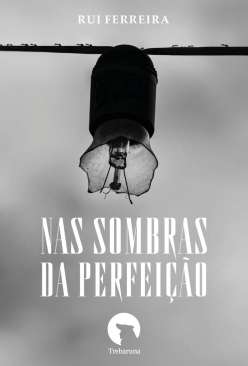Nas sombras da perfei��o