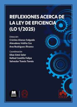 Reflexiones acerca de la Ley de eficiencia (LO 1/2025)