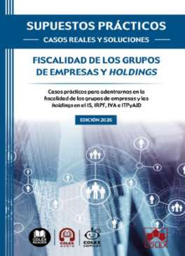 Fiscalidad de los grupos de empresas y holdings