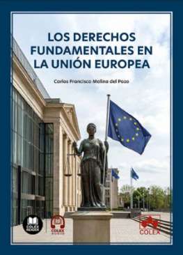 Los Derechos Fundamentales en la Uni�n Europea