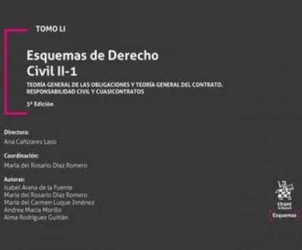 Esquemas de Derecho Civil, 2.1