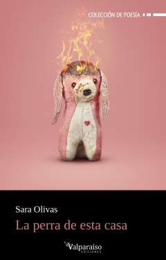 La perra de esta casa