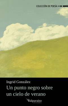 Un punto negro sobre un cielo de verano