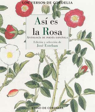 As� es la rosa
