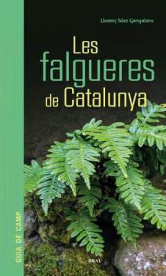 Les falgueres de Catalunya