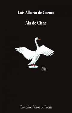 Ala de Cisne