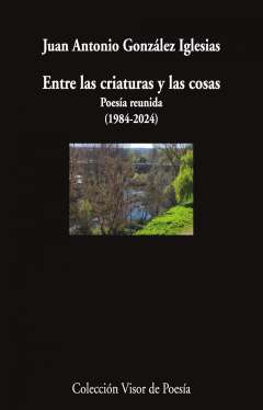 Entre las criaturas y las cosas