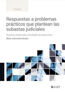 Respuestas a problemas pr�cticos que plantean las subastas judiciales