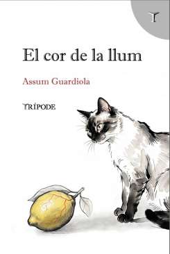 El cor de la llum