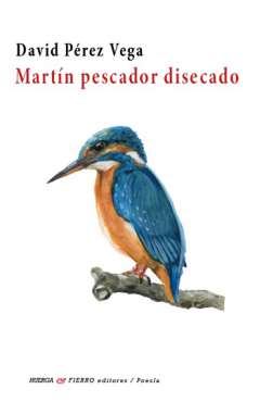 Mart�n pescador disecado