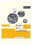 Stone in a landslide
