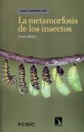 La metamorfosis de los insectos