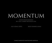 Momentum